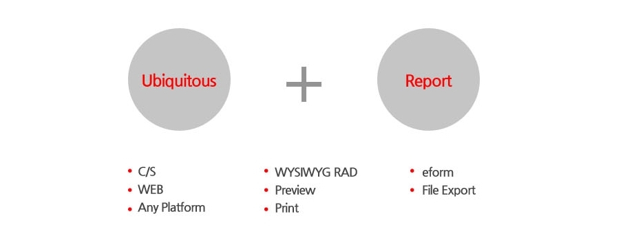 UbiReport ソリューションの特徴